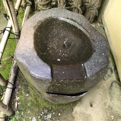 NHg2iHZlldYIXLv's profile picture. 