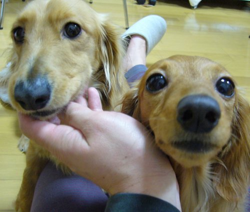 tirobubu's profile picture. 無実です。 奈良と京都の神社仏閣大好き。