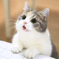 my__Dr's profile picture. ドラム練習休止中/ヘッダー制作⏩NeOn【@neon_2539】さん