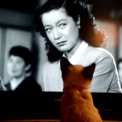 kansas_sire's profile picture. https://t.co/Okck2mT6wI…
https://t.co/x8r875BIow
https://t.co/b3nsmb6Esy
https://t.co/RFgZtFoVrR