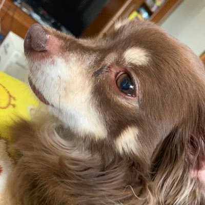 あさんのプロフィール画像