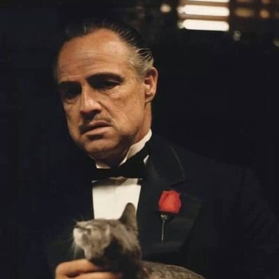 zl7471's profile picture. 单次全身精油按摩239/次，80分钟！