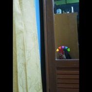 Heecap_ (@heecap) 's Twitter Profile