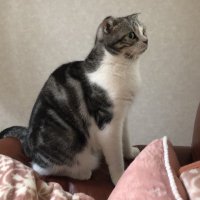 jun (@jun13485019) Twitter profile photo