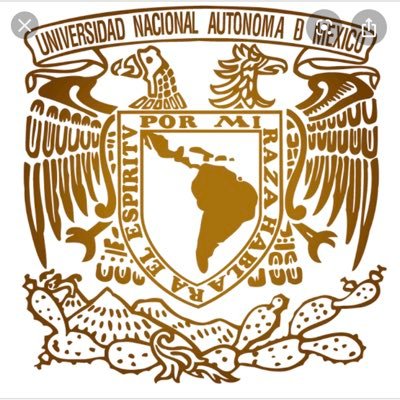 Medical specialist IMSS-UNAM, Sports, Travel, Music , History, Art, News, Politics.
