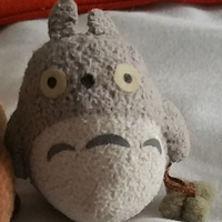 Lil'Totoro(@lil_totoro) 's Twitter Profile Photo