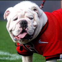 DawgFan(@dawgfan2112) 's Twitter Profile Photo