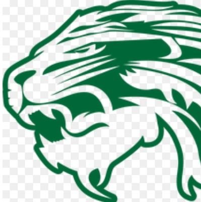 Spring Lions HS Football Profile