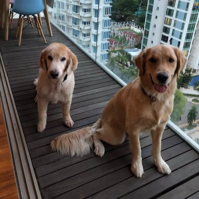 ArabelladeManon's profile picture. 