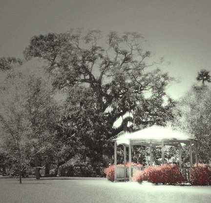 Thewanderingstr's profile picture. Capturing the world through my lens.