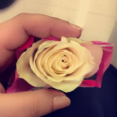 هدوء و ضجيج حروف مبعثرة أوراق هنا,,وأوراق هناك ومزيج أقلام ممتلئة بِـ الكلمات لكن يبقى الصمت سيد أحرفي