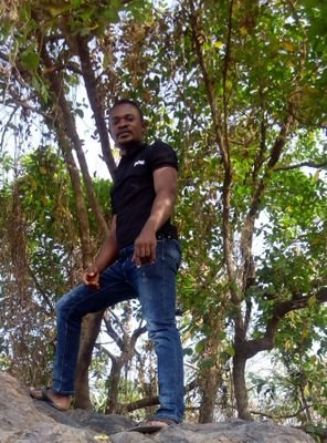 Peddant1's profile picture. If it must be done, it must be done well