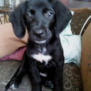 alice chacon - @alice_chacon - Twitter