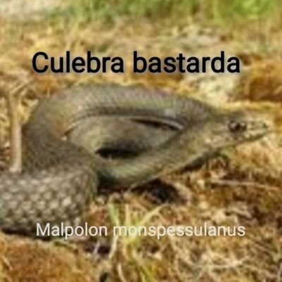 PAEZ98578043's profile picture. Mis experiencias más divertidas con #eugeniozangano