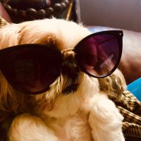 tx_read (@read_tx) 's Twitter Profile