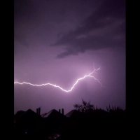 chad (@realbankoftree) 's Twitter Profile