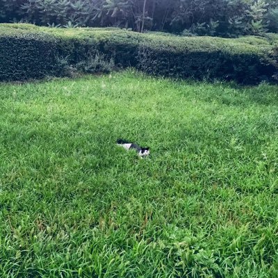 Ggss8822's profile picture. Sz找被动米