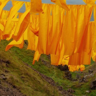 Steve Messam