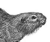 Get the source code at GitHub: http://t.co/U0VmWrXpB9