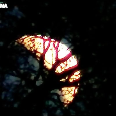 SusieQ12071000's profile picture. En este momento de mi vida, me gusta cantar tango! voy a lugares con músicos en vivo y micrófono abierto, también me gusta pintar y dibujar y pasear y bailar!