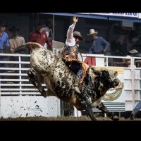 Jerry Studdard Memorial Rodeo - @JerryRodeo Twitter Profile Photo
