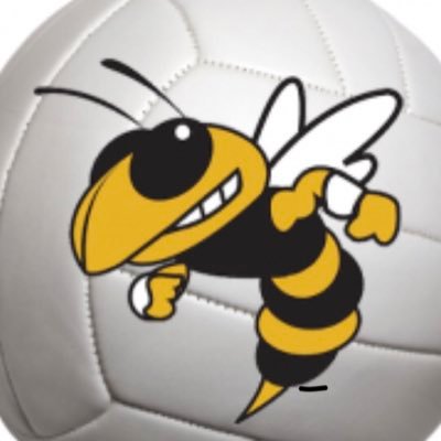 the twitter account of Springfield volleyball
