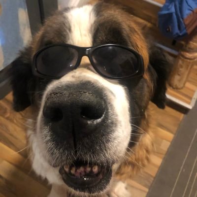 Yvonne27996633's profile picture. 