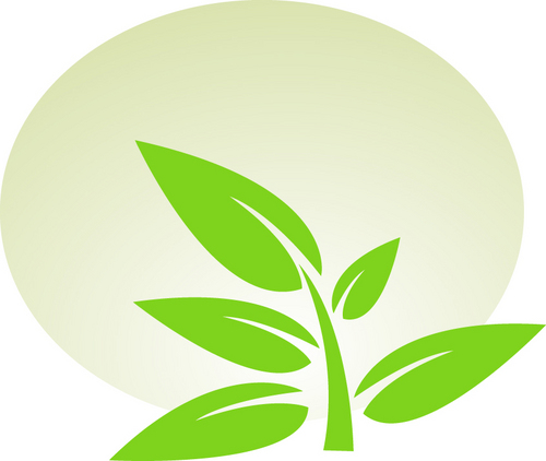 Greenwise_'s profile picture. Innovator of Green Receipts and point of sale fundraising.  Merchant services saving the earth's resources one swipe at a time.