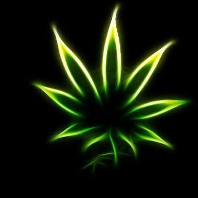 Digital Artist who likes Smoking Weed, Lot's of weed 😎 Smokin weed for 45+ years. No DM's
#StayLifted #StonerFam #CanadianCannabis