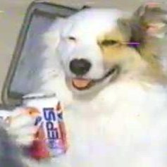 LikeUAlwaysSay's profile picture. "...what a day"