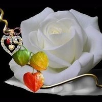 🔻°Kentia°💜 (@kenttia) 's Twitter Profile Photo