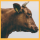 Carnivore is Vegan (@carnivoreis) 's Twitter Profile