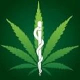 buycbdonline2's profile picture. Buy weed online canada