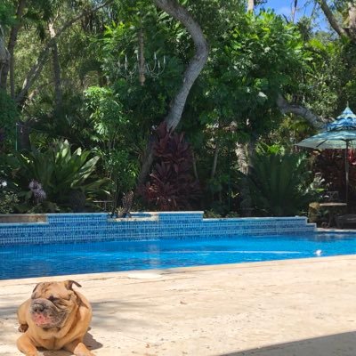 theblondecuban's profile picture. she/her. the boulevard is not that bad.