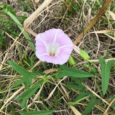 30代後半です。山登り、温泉巡り、旅行が好きです。よろしくお願いします。