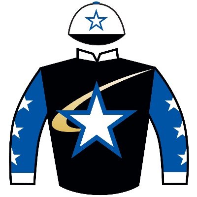 SHOOTING STAR is a Thoroughbred Syndicate providing affordable opportunities to participate in racehorse ownership.