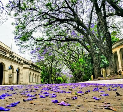 PicofthedayG's profile picture. 