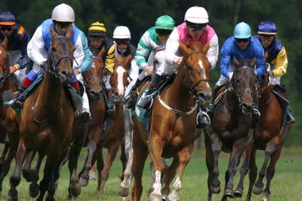 NaTipster's profile picture. Twitter presence of http://t.co/q3gLPS1s0h. Free Win and Place horse racing lay tips daily.