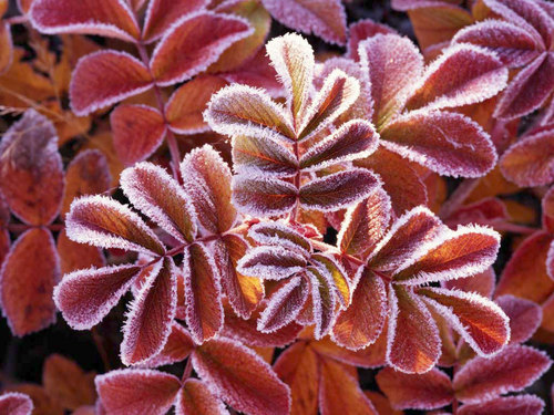 kellysdeals's profile picture. I'm a 5'5 fun loving college girl. I put this together for everybody. Topic what do you want out of life.  
kisses