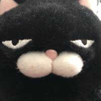 ほ~さく (@whooosaku) 's Twitter Profile Photo ほ~さく (@whooosaku) 's Twitter Profile Photo