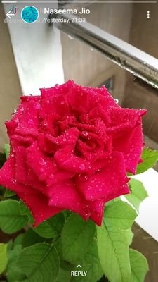 Dhanala45643573's profile picture. Good listener