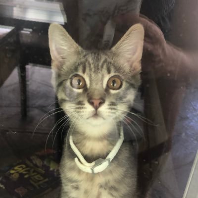 AprilKimble6's profile picture. 