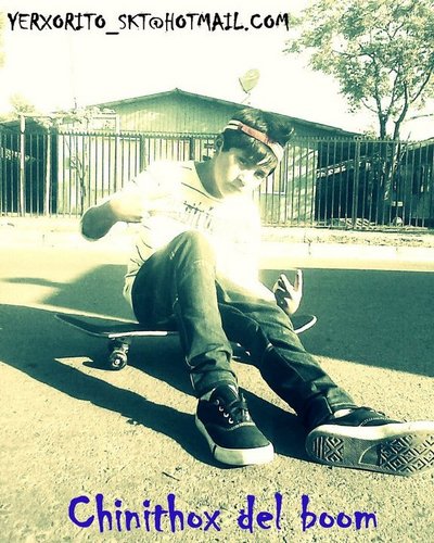 chinoskater's profile picture. 