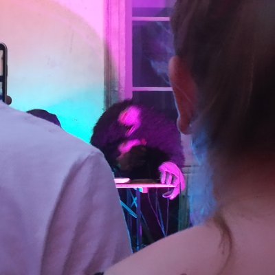 yllentotem's profile picture. 