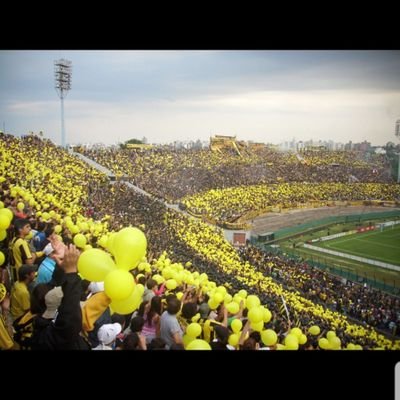 Viajes, asados, música, familia y Peñarol.Lista 3. Cr/MBA. Integrante Asamblea Representativa de Peñarol. Comision de Deportes CAP.Siempre arriba!