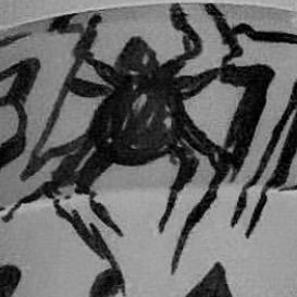 marsvpial's profile picture. R.R.💞