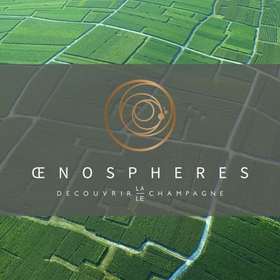 OenoSpheres