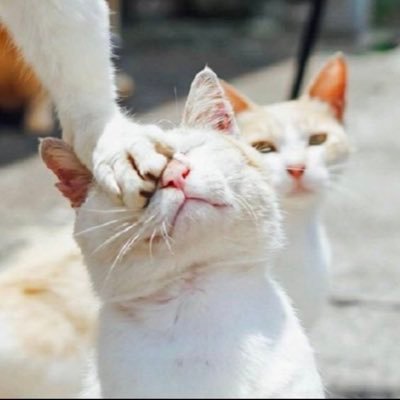 Co8193Goo's profile picture. 主に歌ったりするアプリ関連の発信多めですが、ゲームや食べ物関連もちょくちょく投稿します！最近はカラーシングってアプリ始めました！https://t.co/jFIyVh96de