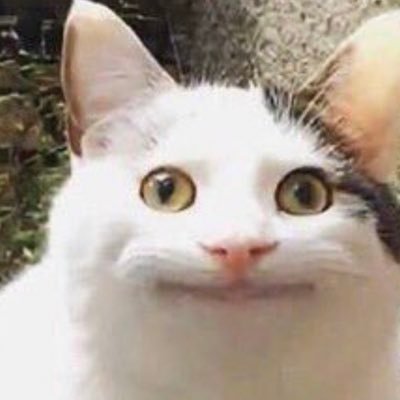 もりりんさんのプロフィール画像