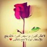 alaistighfar9's profile picture. ➺🌸┊↷ الإستغفــــــــــار ..؟ يسقي جفاف الأحزان ويزرعها أفراح ويزهر أغصان الحياة الذابله 🌿.